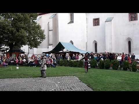 24 Saxony Day 2015 Wurzen