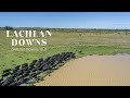 ‘Lachlan Downs’, Darling Downs, Qld