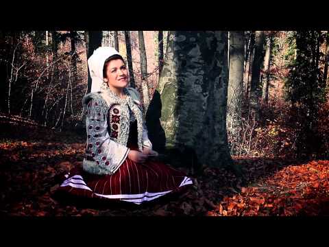 Diana Sarbu - Amintirea cerne