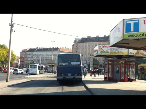 Budapest 155-ös járat; Széll Kálmán tér M - Zugligeti út