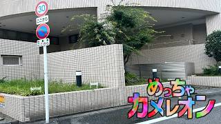 ついに最終回　めっちゃカメレオン　三連続で見逃しランキング一位を目指す配信