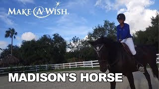 Madison's Wish to Have a Horse | Make-A-Wish Southern Florida