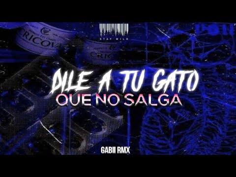DILE A TU GATO QUE NO SALGA😜 - RKT - GABII RMX