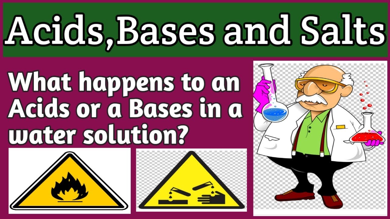 #Chapter 2 |#Acids Bases and Salts |#What happens to an acid or a base in a water solution.