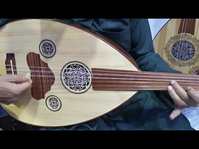 عود موسيقي كهربائي احترافي كريز تايواني