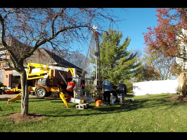 Setup: Day 3 - Windows and one Mega Tree