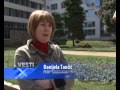 Ukradeno više od 400 sadnica cveća u centru Zrenjanina (video)