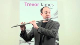 Trevor James Cantabile flute with wooden lip