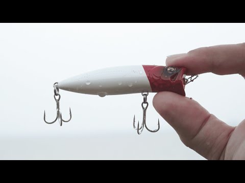 Finally released in 2026! A new size of the "lure" that caused a stir!