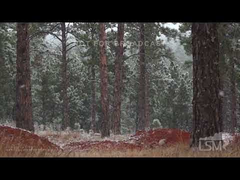02-09-2022 Rapid City, SD - Giant Flakes Picturesque Slow-Motion Snow