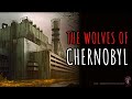 The Wolves of Chernobyl | TERRIFYING COLD WAR MILITARY CREEPYPASTA