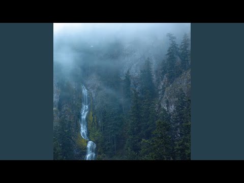 Face In A Night Time Mirror Pt. 1 - Wolves In The Throne Room