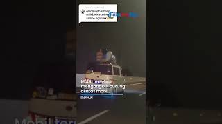 Viral Momen Unik Mudik Bawa Burung di Atas Mobil Terekam Kamera