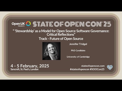 ‘Stewardship’ as a Model for Open-Source Software Governance: Critical Reflections