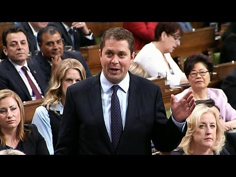 Scheer, Morneau debate Kinder Morgan pipeline purchase during question period