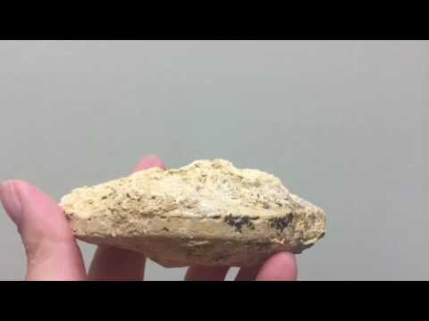 download lagu mp3 mp4 Fossil Preparation Tools, download lagu Fossil Preparation Tools gratis, unduh video klip Fossil Preparation Tools