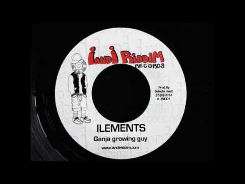 ILEMENTS - GANJA GROWING GUY (I and I Riddim Records)