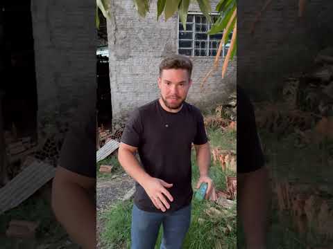 Será que essa lanterna de achar escorpião funciona mesmo?