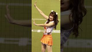 20250301日本火腿交流賽#unigirls Mina林子豪應援　#台湾チア　#cheerleader