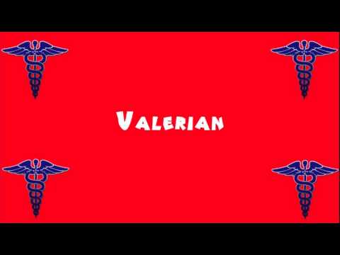 Pronounce Medical Words ― Valerian