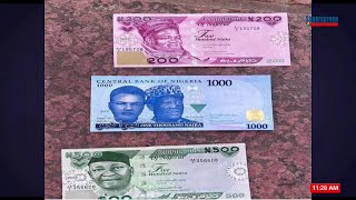 Nigerian Naira Redesign: Experts Perspective On Ec