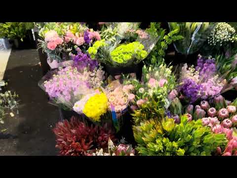 ZenFone 8 flip 4k 30fps gcam HEVC