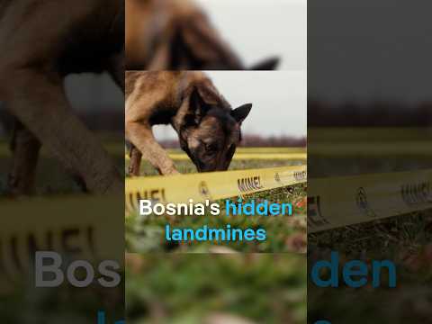 Bosnia's Hidden Landmines | Dw Documentary