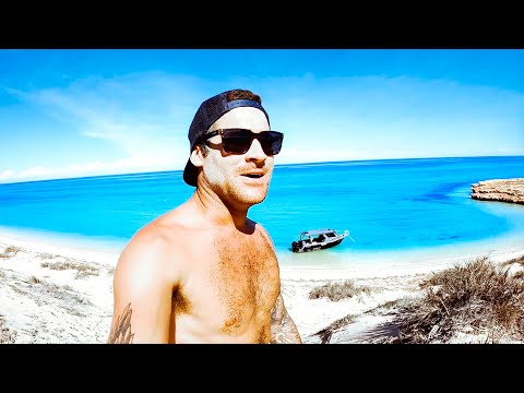 HOW DID THAT NOT GO BAD Isolating In The Deep Blue Spearfishing For Food (Part 2) - Ep 193