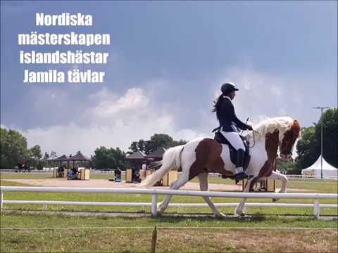 roadtrip till skåne