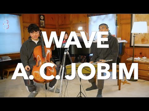 WAVE | Antonio Carlos Jobim || JHMJams Cover No.406