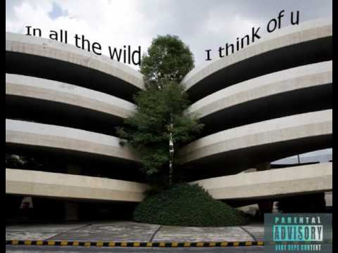 FLAKOVELLI - In All The Wild (Jerk mix) 2017