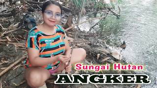 Download lagu Mancing di sungai hutan pedesaan di temani udara pagi yang sejuk mp3