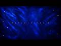 Jorge Cuellar, Ysrael Barajas - Reminiscencia (Lyric Visualizer)