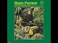 Rain - walter wanderley