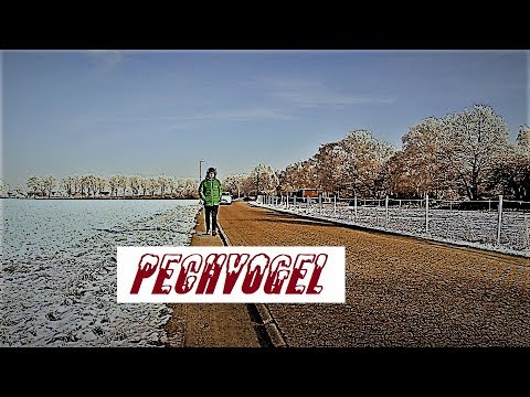 Pechvogel (Kurzfilm)