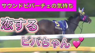 恋する サウンドビバーチェの気持ち【馬の気持ちシリーズ】 オークスで放馬 石橋脩騎手【競馬】パイセンの競馬チャンネル