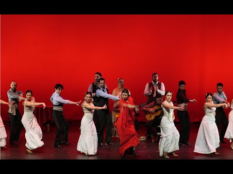 Carmen Flamenco Ballet, promo video. Opera. Bizet. Classical Flamenco performance. Flamenco Manager