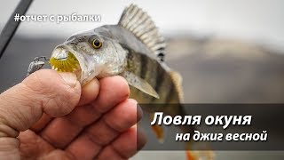 Весенняя рыбалка ловля окуня на джиг