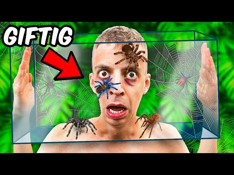 Ich lasse tödliche SPINNEN über meinen Kopf krabbeln! 😳 (18+)