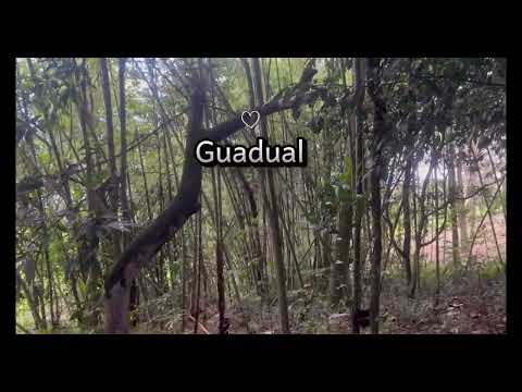 Fincas y Casas Campestres, Venta, Caldono - $440.000.000