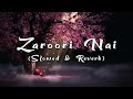 Zaroori Nai Afsana Khan Slowed Reverb