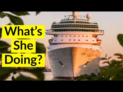Thumbnail for What are these cruise ships doing during the cruise shutdown?