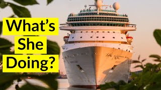 What are these cruise ships doing during the cruise shutdown?