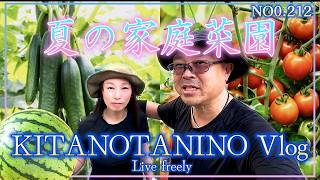 【Vlog何気ない日常】 夏に向けて家庭菜園を仕込むよ♪　＃キュウリ　＃ミニトマト　＃小玉スイカ　計画的な人生よりも他愛のない人生の方が幸せだったよ♪　＃北の谷のノリタカ　＃ガンサバイバー　＃障害を持