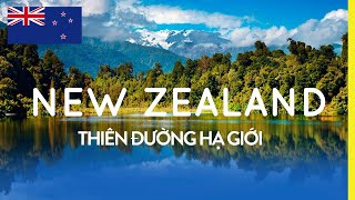 Biểu tượng của New Zealand là gì? Có gì đặc biệt?