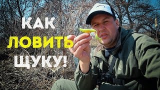 Обзор спиннинги для ловли щуки и окуня
