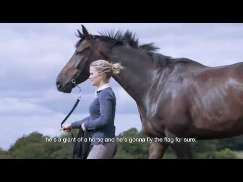 Harry Whittington tells us what plans he has for Saint Calvados this season...