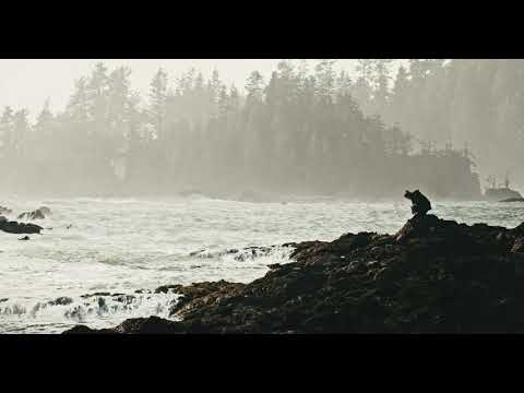Here I Am - Walker and Wylde