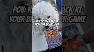 Ripped a pack at my bros soccer game and got the 2 perfect cards. does the pup deserve a like?