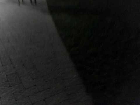 WOODSTOCK 40 ANIVERSARIO --DE MADRUGADA 1